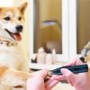 Dog Nail Grinder 2 Speeds Quiet USB Rechargeable Pet Nail Grinder Professional Pet Nail Trimmer Cordless Paws Grooming